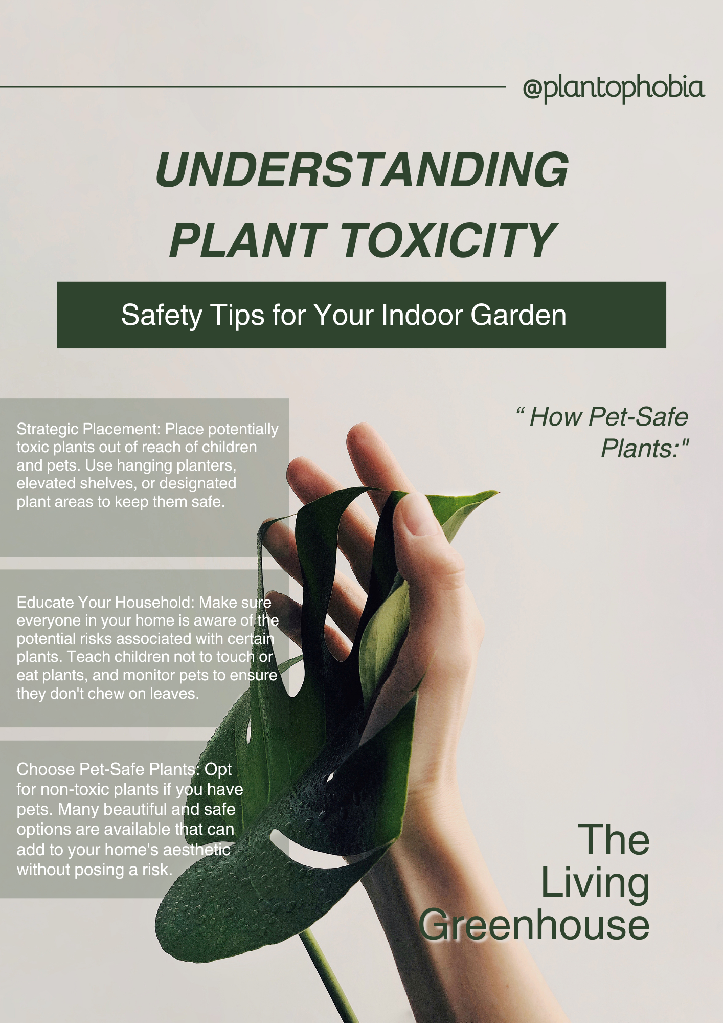 Understanding Plant Toxicity